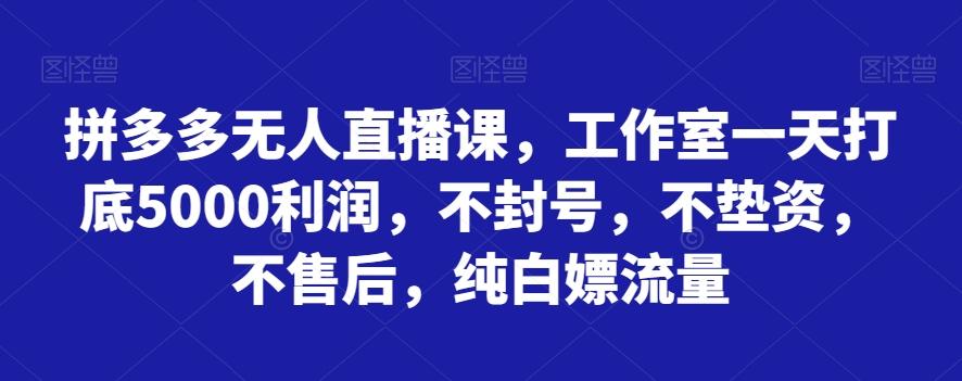 拼多多无人直播课，工作室一天打底5000利润，不封号，不垫资，不售后，纯白嫖流量-禾谷轻创网