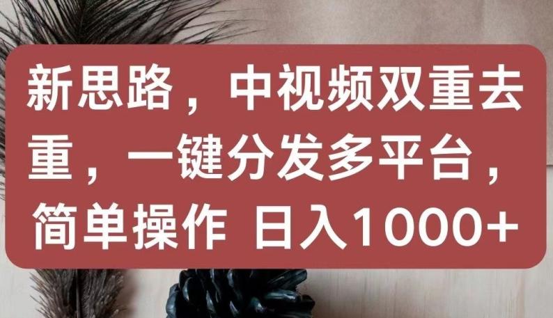 新思路，中视频双重去重，一键分发多平台，简单操作，日入1000+【揭秘】-禾谷轻创网