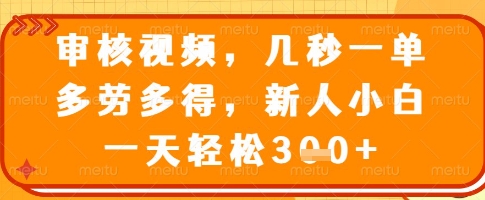 审核视频，几秒一单，多劳多得，新人小白一天轻松3张【揭秘】-禾谷轻创网