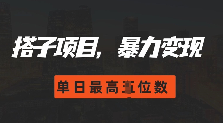 2024搭子玩法，0门槛，暴力变现，单日最高破四位数【揭秘】-禾谷轻创网