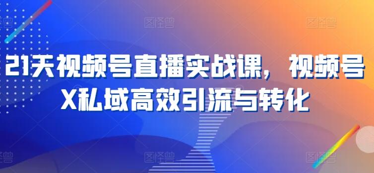 21天视频号直播实战课，视频号X私域高效引流与转化-禾谷轻创网