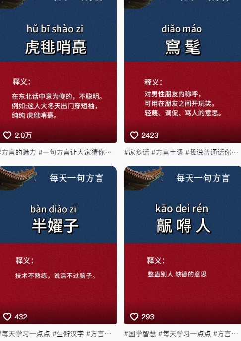 抖音最新涨粉玩法，图文方言暴力涨粉实操，126作品涨粉11W-禾谷轻创网