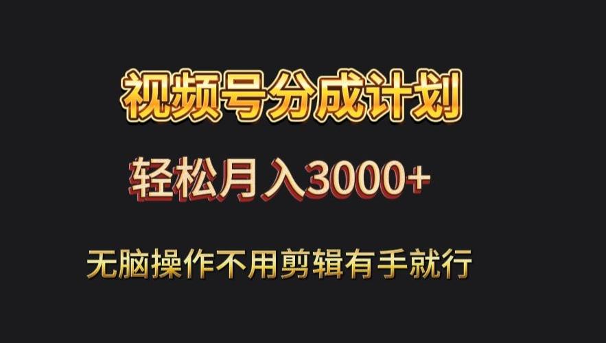 视频号流量分成，不用剪辑，有手就行，轻松月入2000+-禾谷轻创网