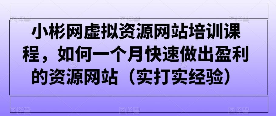 小彬网虚拟资源网站培训课程，如何一个月快速做出盈利的资源网站(实打实经验)-禾谷轻创网