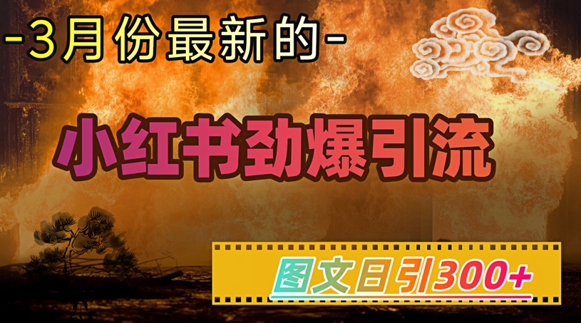 小红书超劲爆引流手段，图文日引300+轻松变现1W-禾谷轻创网