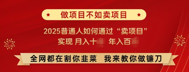 必看，做项目不如卖项目，2025普通人如何通过“卖项目”实现月入十个，年入百个-禾谷轻创网