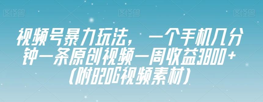 视频号暴力玩法，一个手机几分钟一条原创视频一周收益3800+（附820G视频素材）-禾谷轻创网