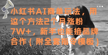 小红书AI商单玩法，用这个方法2个月涨粉7W+，新手也能接品牌合作(附全套指令模板)-禾谷轻创网