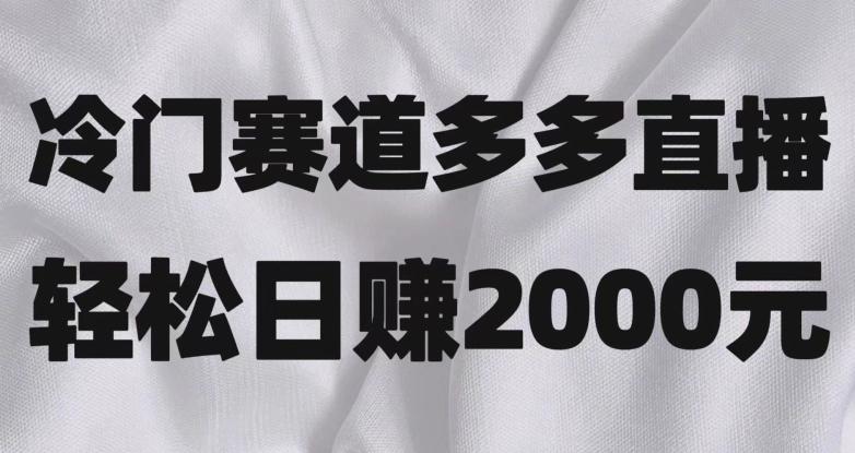 冷门赛道拼多多直播，简单念稿子，日收益2000＋【揭秘】-禾谷轻创网