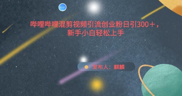 哔哩哔哩混剪视频引流创业粉日引300+，新手小白轻松上手【揭秘】-禾谷轻创网