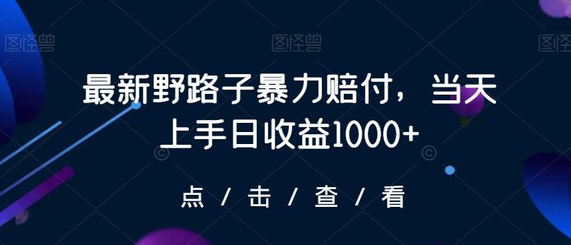 最新野路子暴力赔付，当天上手日收益1000+【仅揭秘】-禾谷轻创网
