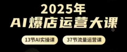 2025年AI爆店运营大课，13节AI实操课+37节流量运营课-禾谷轻创网