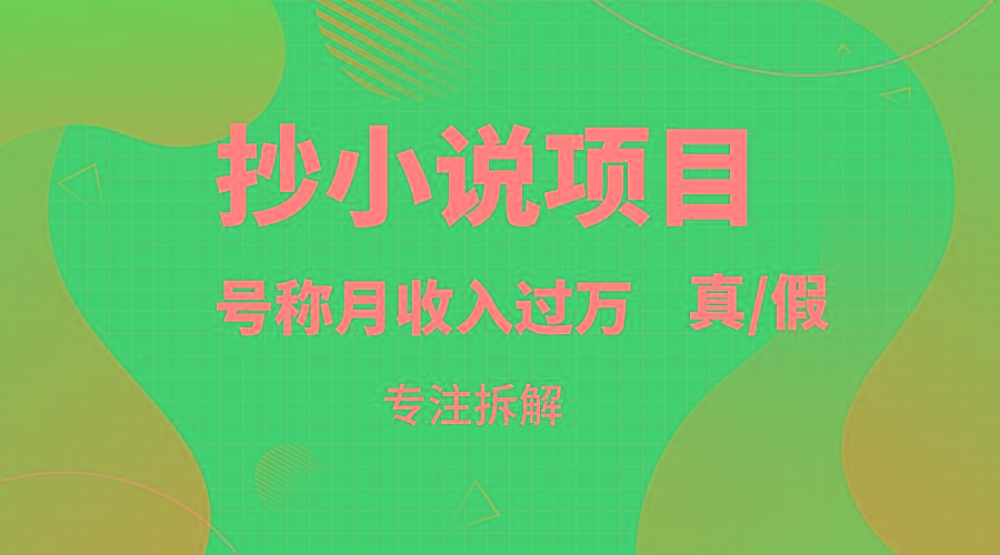 抄小说项目，号称月入过万，到底是否真实，能不能做，详细拆解-禾谷轻创网