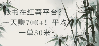 抄书在小红薯平台？平均一单30米，一天收益几张！-禾谷轻创网