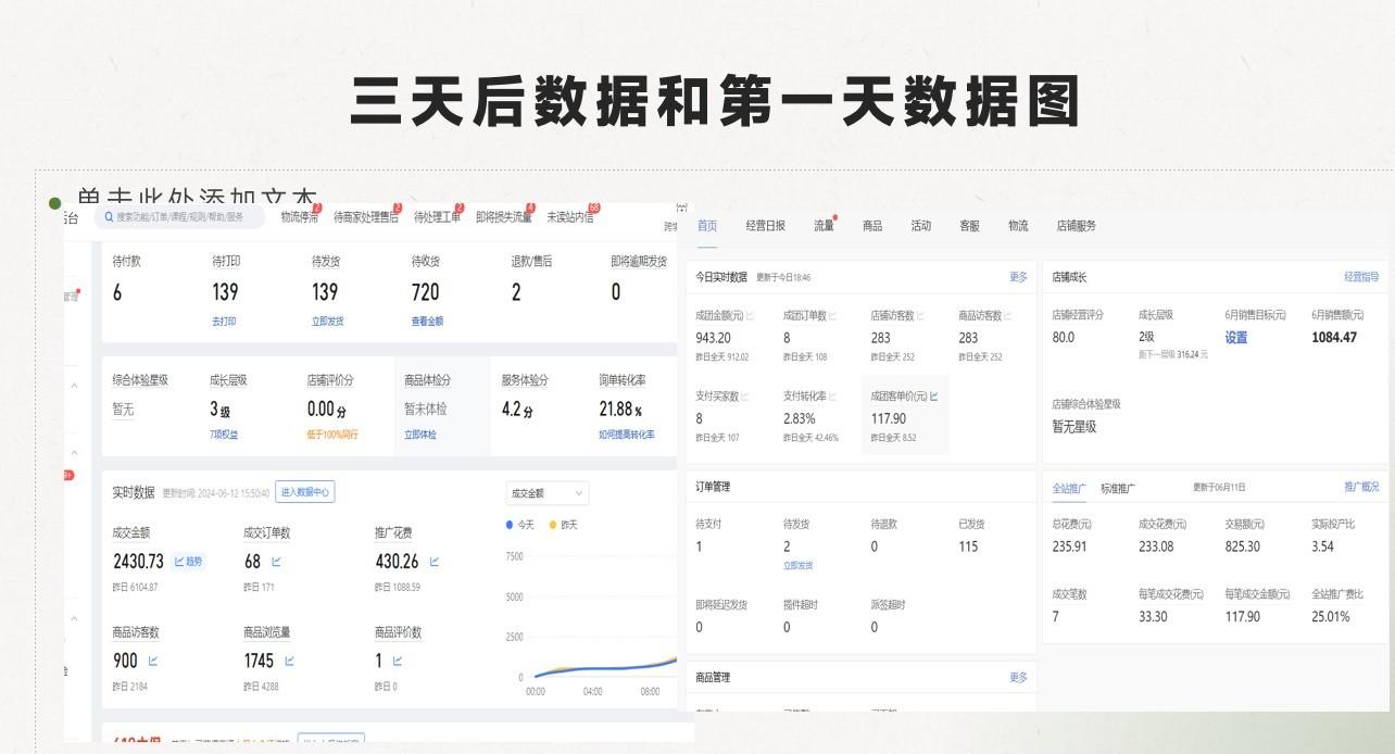 图片[1]-最新拼多多，日入4K+，2日过百单无学费，合作代运营-禾谷轻创网