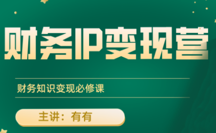 有有老师·财务IP变现营，财务知识变现必修课-禾谷轻创网