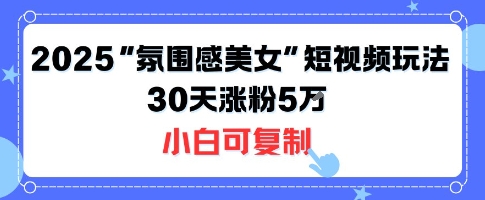 不露脸也能火！2025“氛围感美女”短视频玩法，30天涨粉5W小白可复制-禾谷轻创网