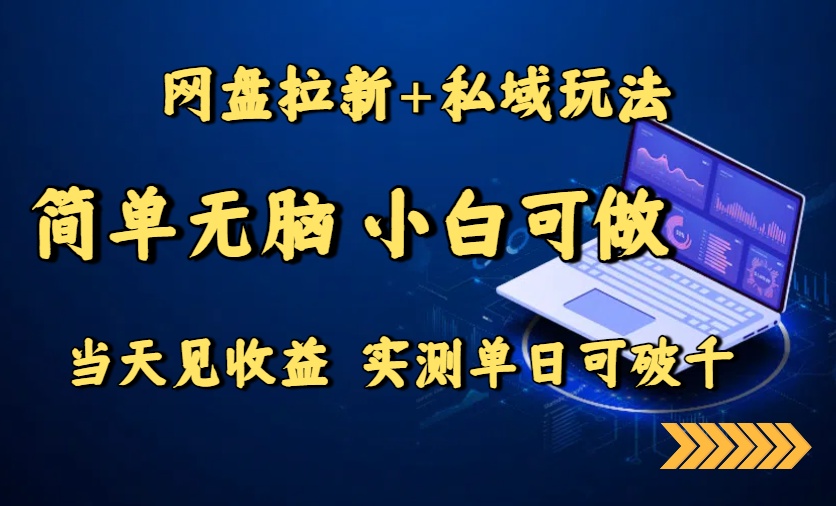 网盘拉新+私域玩法，简单无脑，小白可做，当天见收益，实测单日可破千-禾谷轻创网