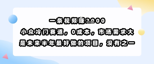 一条视频挣1k，小众冷门赛道，0成本，市场需求大，是未来半年最好做的项目，没有之一-禾谷轻创网
