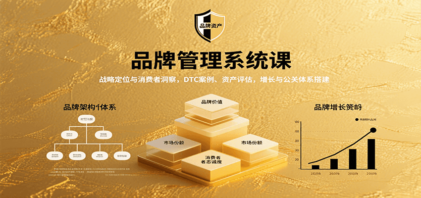 品牌管理系统课：战略定位与消费者洞察，DTC案例、资产评估，增长与公关体系搭建-禾谷轻创网