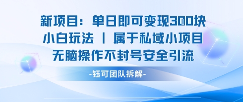 新项目单日即可变现3张的小白玩法无脑操作不封号安全引流-禾谷轻创网