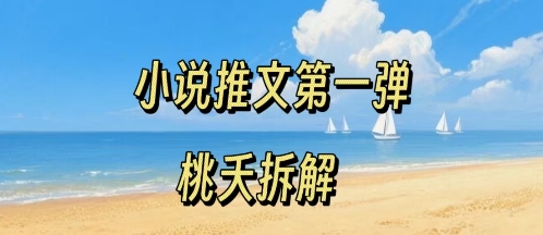 小说推文项目操作全流程第一弹，0粉就能做，门槛低非常适合新手-禾谷轻创网