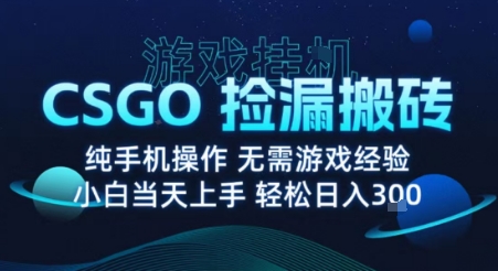 8月最新游戏搬砖，CSGO纯挂G，不需要玩游戏，实现真挂G，月入1W+【揭秘】-禾谷轻创网