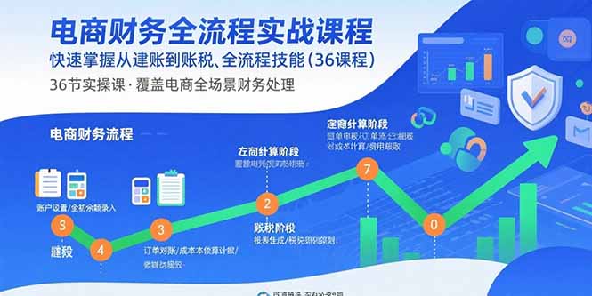 电商财务全流程实战课程：快速掌握从建账到报税的全流程技能(36节课-禾谷轻创网