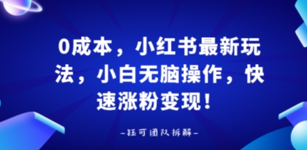 0成本，小红书最新玩法，小白无脑操作，快速涨粉变现-禾谷轻创网