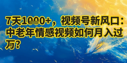 7天收益1k+，视频号新风口：中老年情感视频如何月入过W?-禾谷轻创网