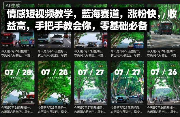 情感短视频教学，蓝海赛道，涨粉快，收益高，手把手教会你，零基础必备-禾谷轻创网