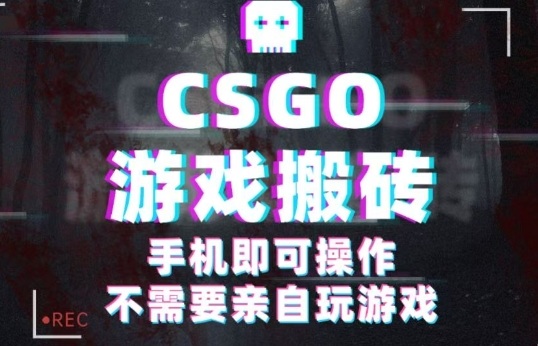 CSGO游戏挂G捡漏，单日扫货5张+，年底小高峰上车可吃肉，手机即可操作，兼职副业创业网创【揭秘】-禾谷轻创网