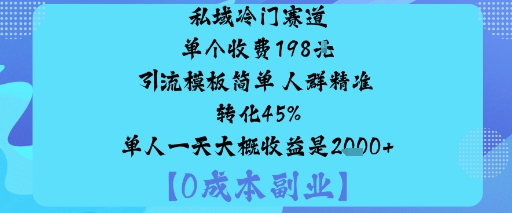 私域冷门赛道:单个收费198米引流模板简单人群精准转化45%单人一天大概收益是1k+-禾谷轻创网