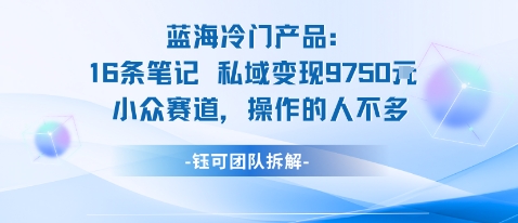 蓝海项目：16条笔记私域变现9750米小众赛道操作的人不多-禾谷轻创网