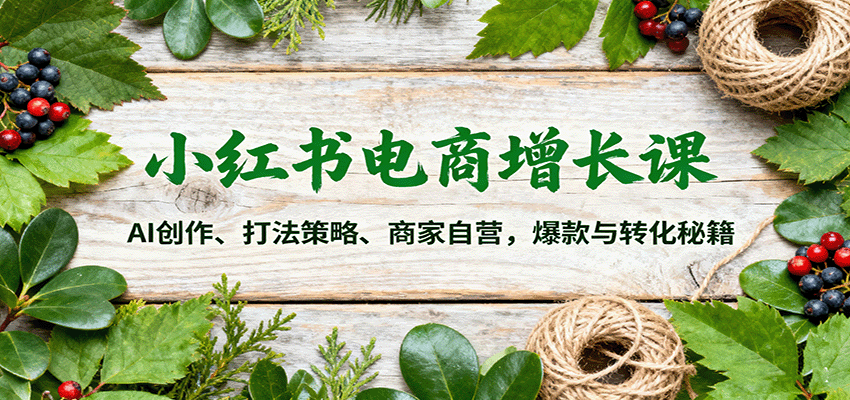 小红书电商增长课：AI创作、打法策略、商家自营，爆款与转化秘籍-禾谷轻创网