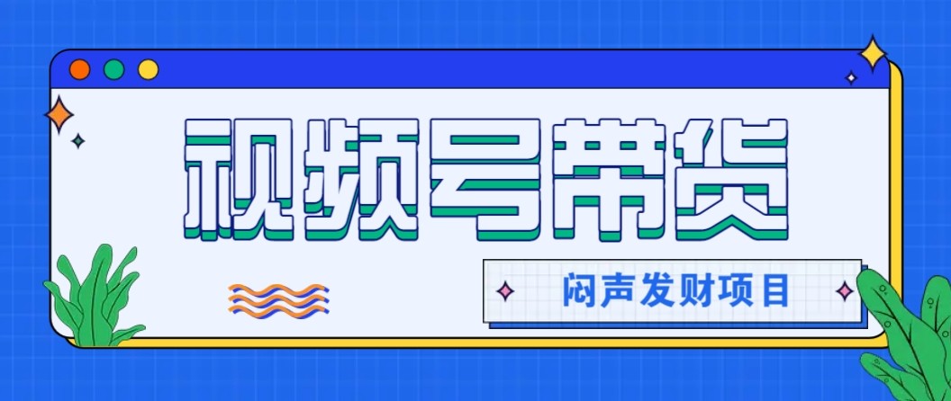 微信视频号带货项目，轻松日赚赚2000+，这个挣钱入口很多伙伴都在闷声发财-禾谷轻创网