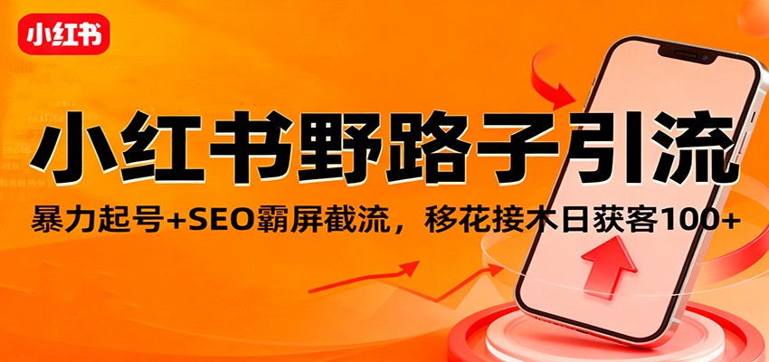 小红书野路子引流，暴力起号+SEO霸屏截流，移花接木日获客100+-禾谷轻创网
