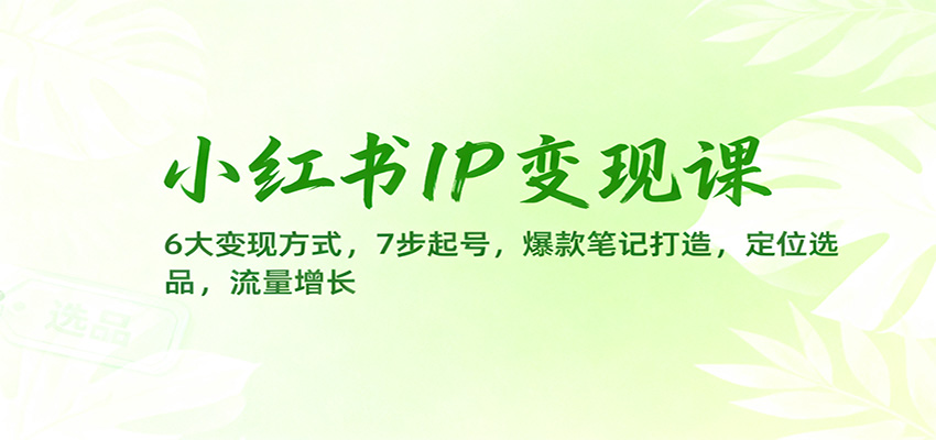 小红书IP变现课：6大变现方式，7步起号，爆款笔记打造，定位选品，流量增长-禾谷轻创网