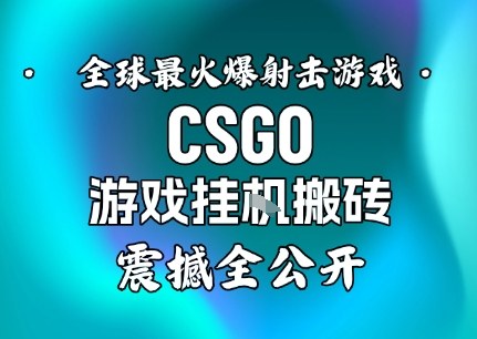 【年底大揭秘】基于全球最火爆的射击CSGO游戏挂G搬砖，日入5张+，震撼公开-禾谷轻创网