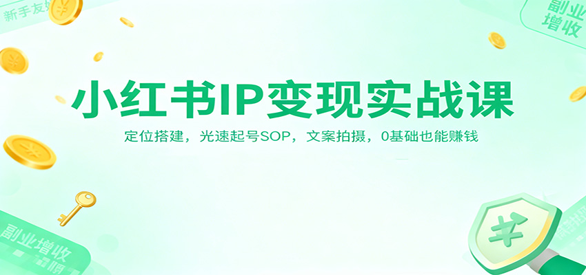 小红书IP变现实战课：定位搭建，光速起号SOP，文案拍摄，0基础也能赚钱-禾谷轻创网