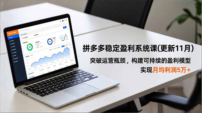 拼多多稳定盈利系统课(更新11月-禾谷轻创网