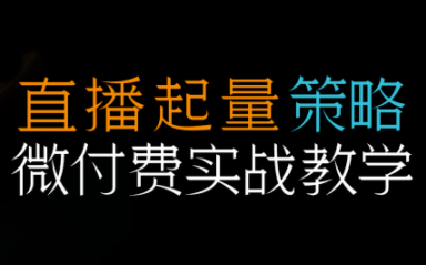 半野老师·直播带货起量与微付费必学课视频号-禾谷轻创网