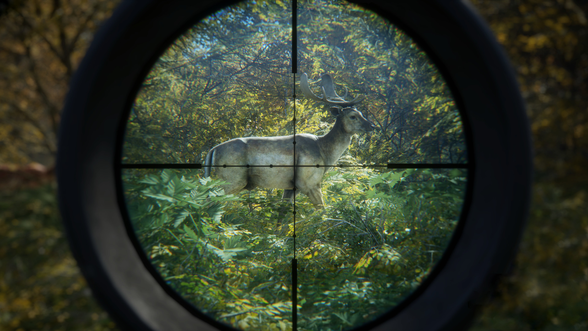 《猎人：荒野的召唤/theHunter: Call of the Wild》PC中文版下载-含v3101875-禾谷轻创网