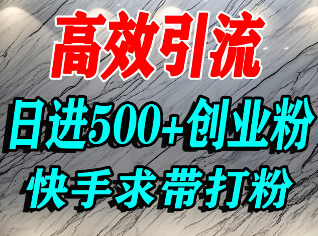 怎么打创业粉？快手求带视角精准引流创业粉，宝妈、学生群体日进500+精准流量-禾谷轻创网