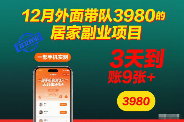 12月外面带队3980的居家副业项目，一部手机实测3天到账9张+，首发教程【揭秘】-禾谷轻创网