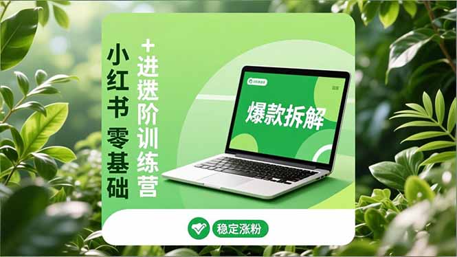 小红书零基础+高阶训练营：安全养号、爆款拆解、长效运营，实现稳定涨粉与变现-禾谷轻创网