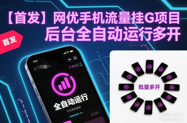 【首发】网优手机流量挂G项目，后台全自动运行，可无限批量多开【揭秘】-禾谷轻创网