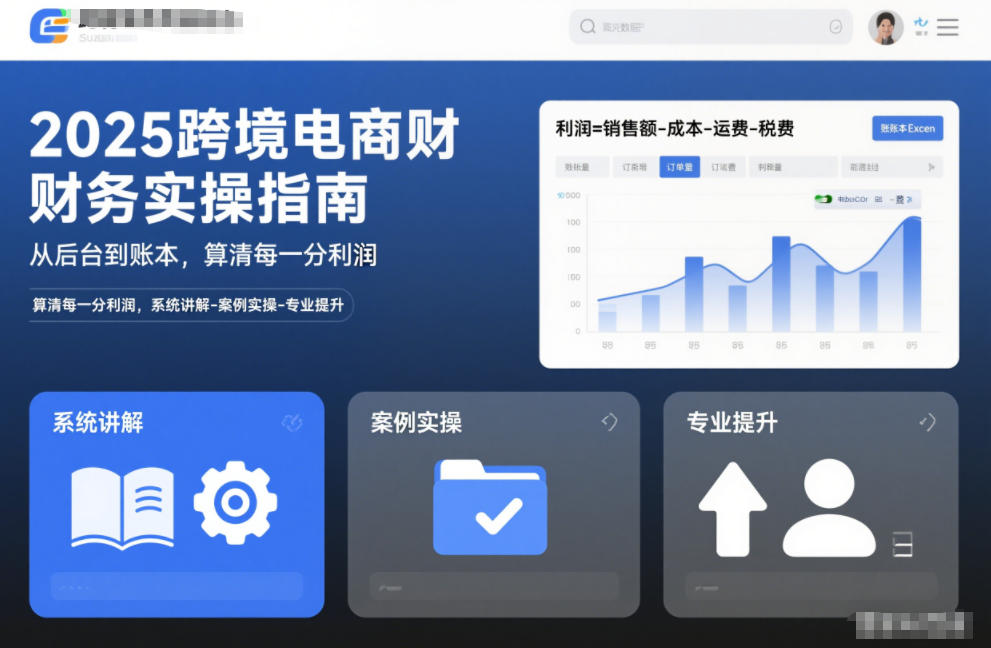 2025跨境电商财务实操指南，从后台到账本，算清每一分利润，系统讲解-案例实操-专业提升-禾谷轻创网