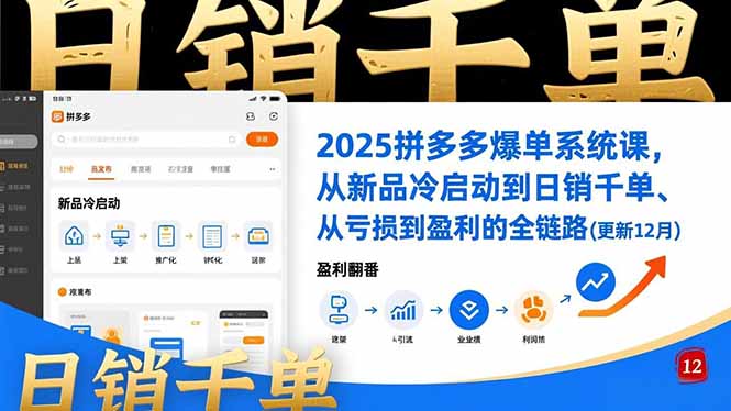 2025拼多多爆单系统课，从新品冷启动到日销千单、从亏损到盈利的全链路(更新12月-禾谷轻创网