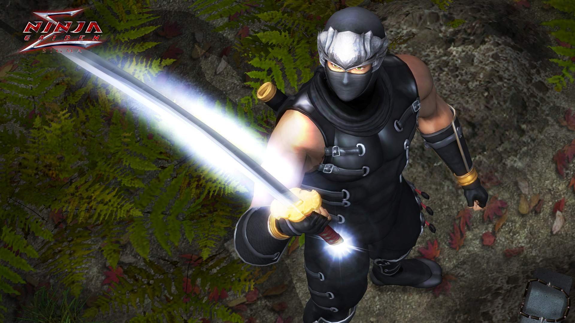 《忍者龙剑传：大师合集/NINJA GAIDEN: Master Collection》PC中文版下载-含v1.0.0.3-禾谷轻创网